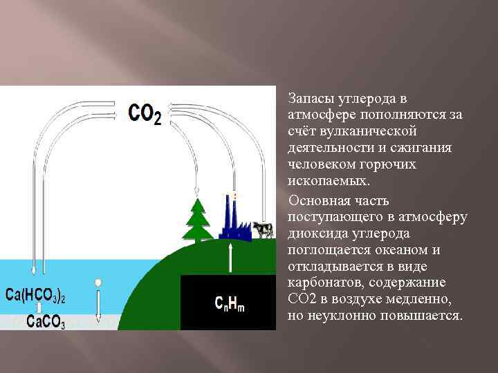 Кислород в атмосферу в процессе. Запасы углерода. Путь возвращения углерода в атмосферу.