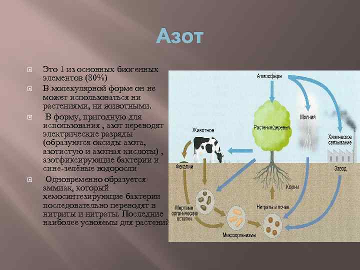 Соединение азота в природе