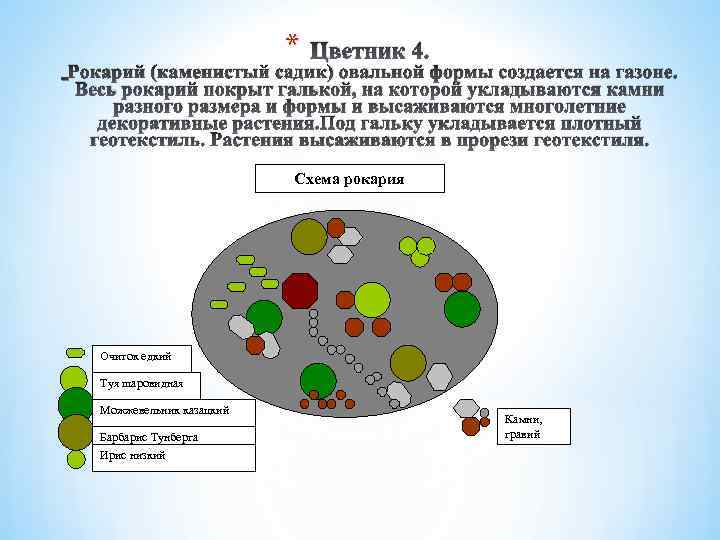 * Цветник 4. Рокарий (каменистый садик) овальной формы создается на газоне. Весь рокарий покрыт