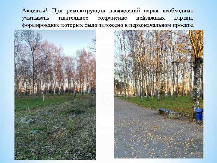 Акценты* При реконструкции насаждений парка необходимо учитывать тщательное сохранение пейзажных картин, формирование которых было