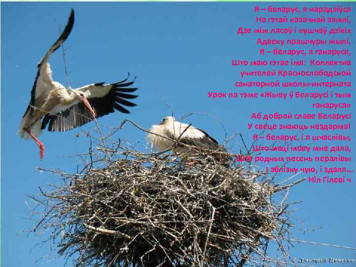 Я – беларус, я нарадзіўся На гэтай казачнай зямлі, Дзе між лясоў і пушчаў