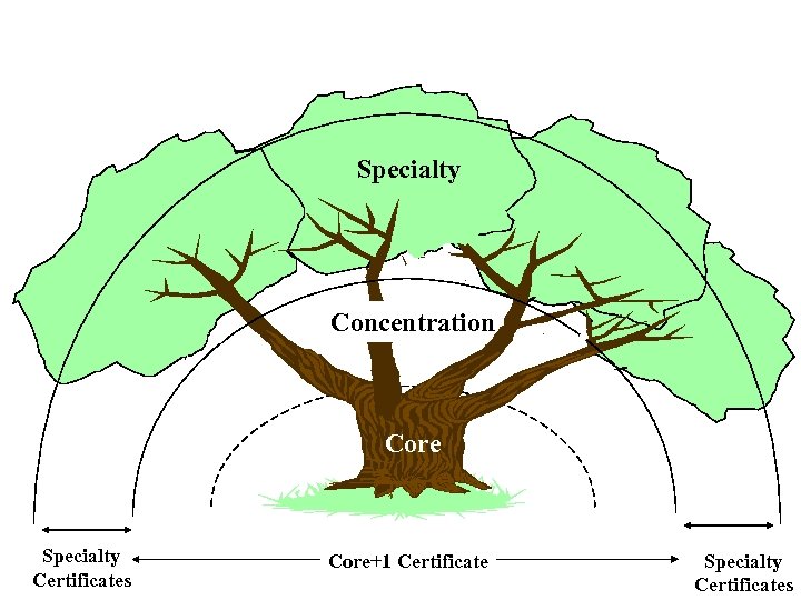 Specialty Concentration Core Specialty Certificates Core+1 Certificate Specialty Certificates 
