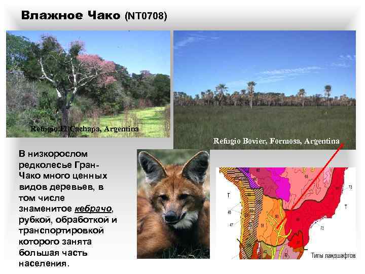 Влажное Чако (NT 0708) Refugio El Cachapa, Argentina Refugio Bovier, Formosa, Argentina В низкорослом