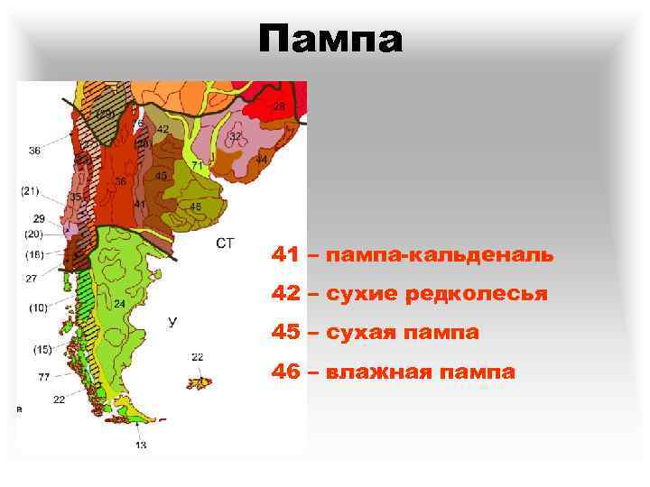 Карта почв южной америки