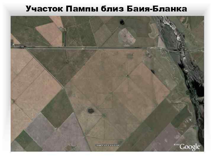 Участок Пампы близ Баия-Бланка 