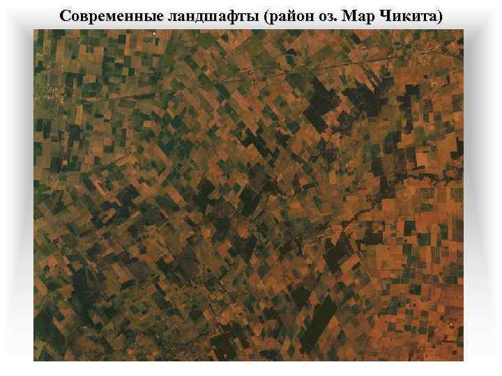 Современные ландшафты (район оз. Мар Чикита) 