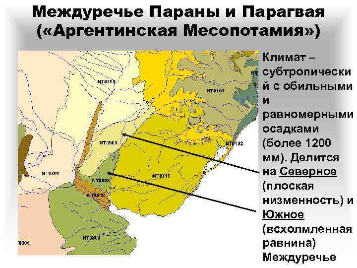Междуречье Параны и Парагвая ( «Аргентинская Месопотамия» ) Климат – субтропически й с обильными