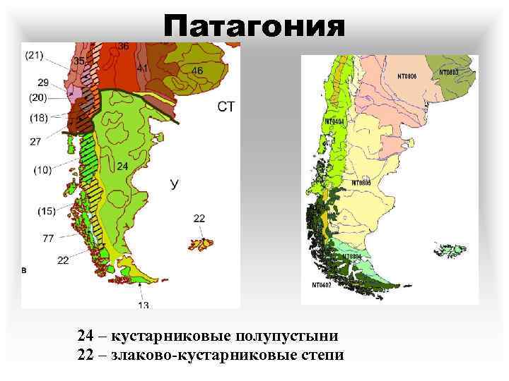 Почвенная карта южной америки