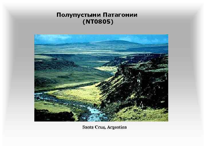 Полупустыни Патагонии (NT 0805) Santa Cruz, Argentina 