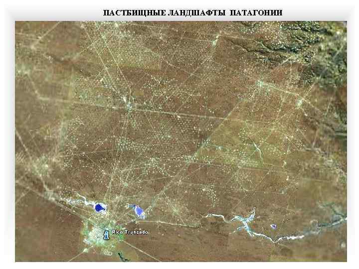 ПАСТБИЩНЫЕ ЛАНДШАФТЫ ПАТАГОНИИ 