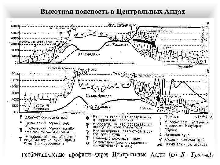 Высотные пояса анд. Высотные пояса Южной Америки. Схема ВЫСОТНОЙ поясности центральных анд. Высотная поясность центральных анд. Высотная поясность в Андах.