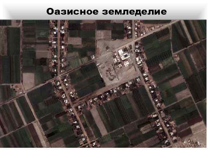 Оазисное земледелие 