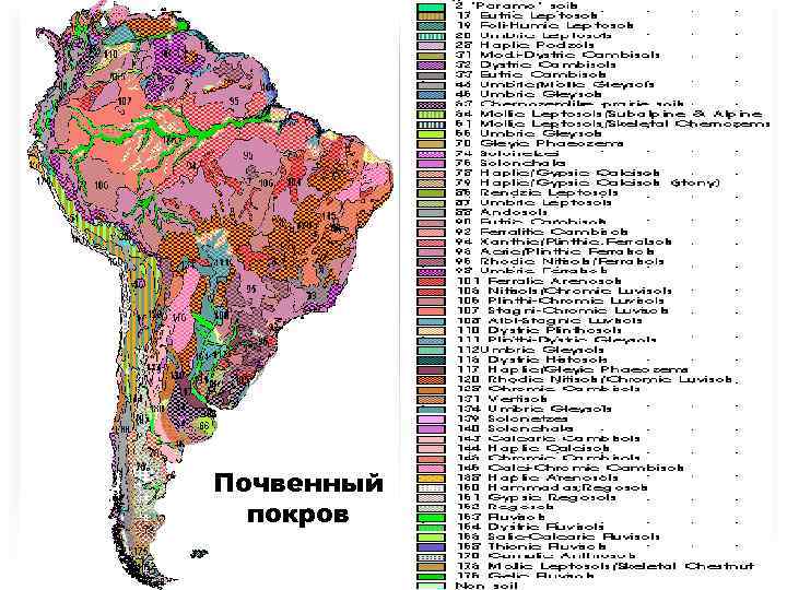 Почвенная карта южной америки