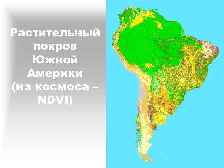 Растительный покров Южной Америки (из космоса – NDVI) 
