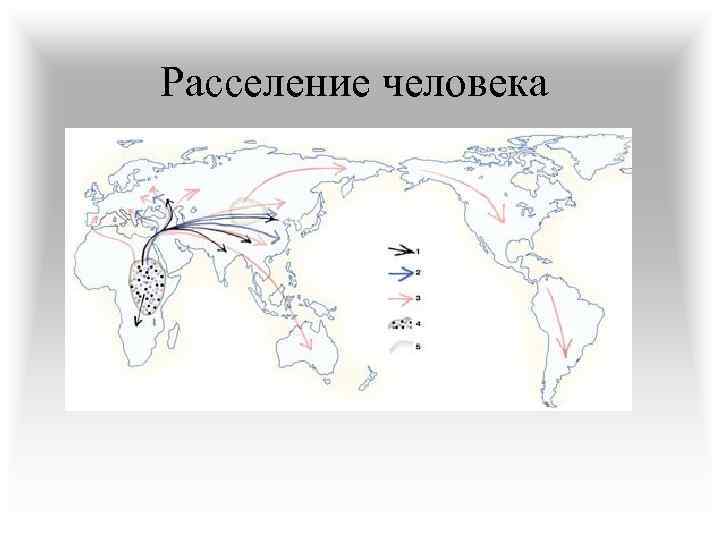 Расселение детей. Карта расселения людей по земле. Пути расселения человека по материкам. Расселение людей по земному шару.