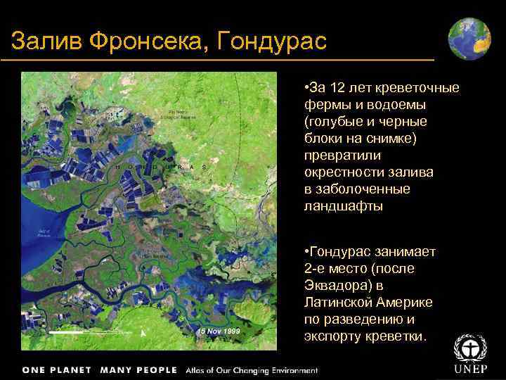 Title Залив Фронсека, Гондурас Body text • За 12 лет креветочные фермы и водоемы