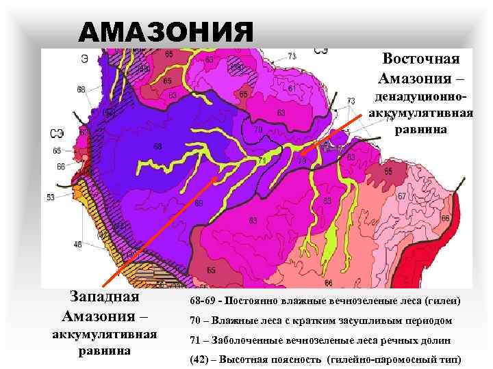 АМАЗОНИЯ Восточная Амазония – денадуционноаккумулятивная равнина Западная Амазония – аккумулятивная равнина 68 -69 -