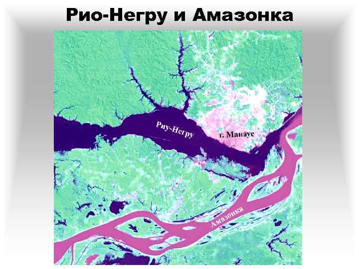 Рио-Негру и Амазонка 
