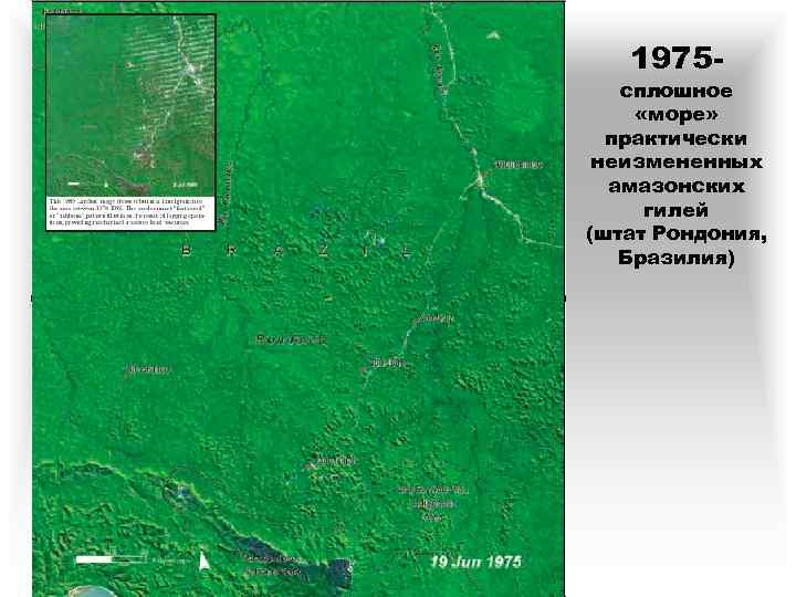 1975 - сплошное «море» практически неизмененных амазонских гилей (штат Рондония, Бразилия) 