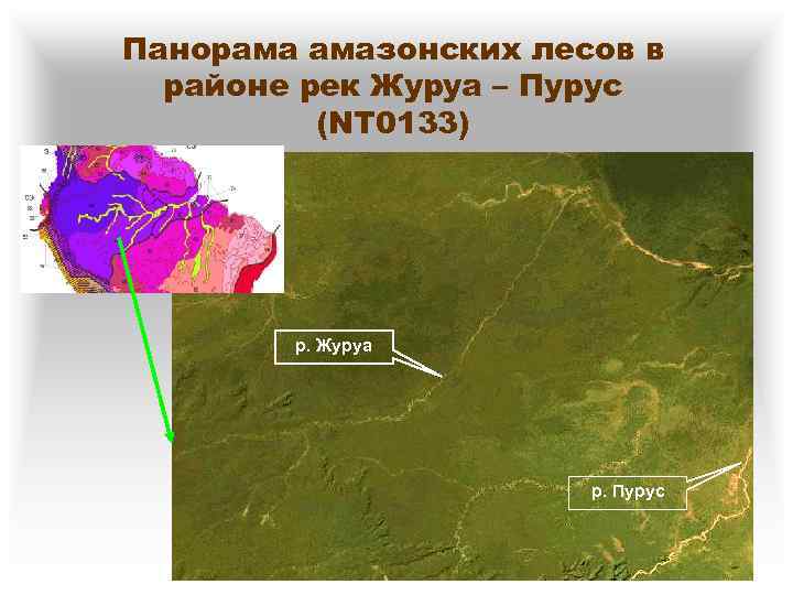Панорама амазонских лесов в районе рек Журуа – Пурус (NT 0133) р. Журуа р.