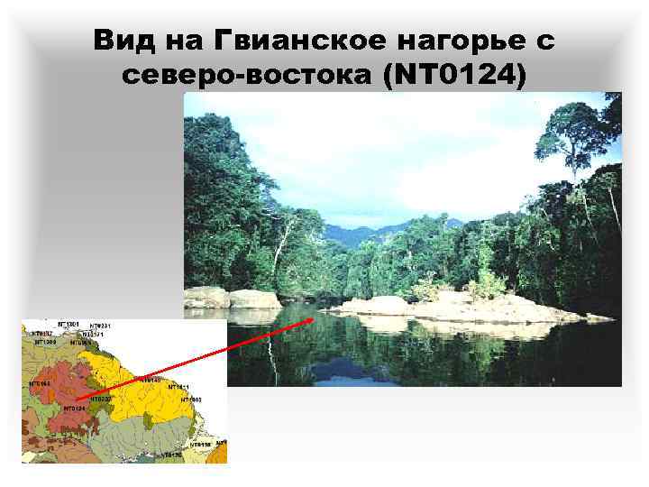 Вид на Гвианское нагорье с северо-востока (NT 0124) 