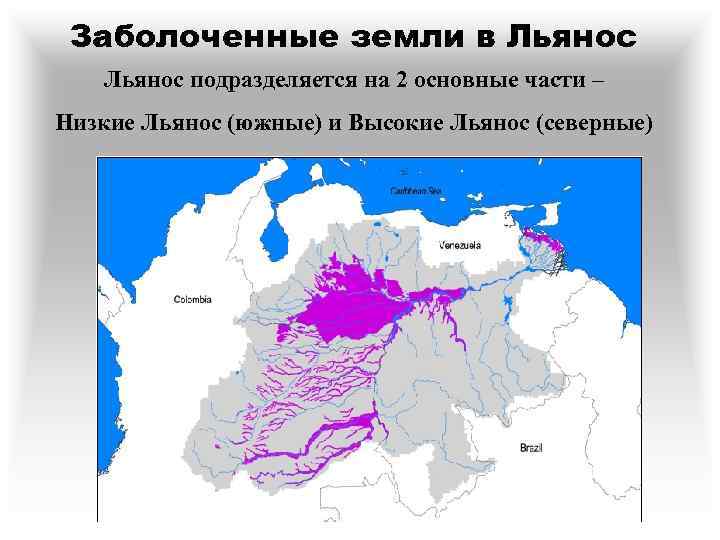 Заболоченные земли в Льянос подразделяется на 2 основные части – Низкие Льянос (южные) и