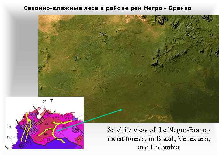 Сезонно-влажные леса в районе рек Негро - Бранко Satellite view of the Negro-Branco moist