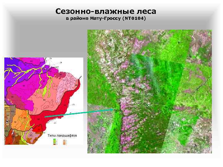 Сезонно-влажные леса в районе Мату-Гроссу (NT 0104) 