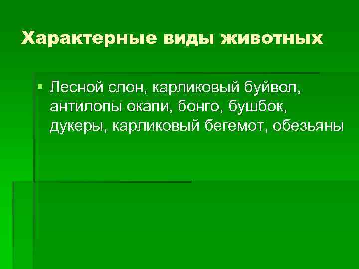 Характерные виды животных § Лесной слон, карликовый буйвол, антилопы окапи, бонго, бушбок, дукеры, карликовый