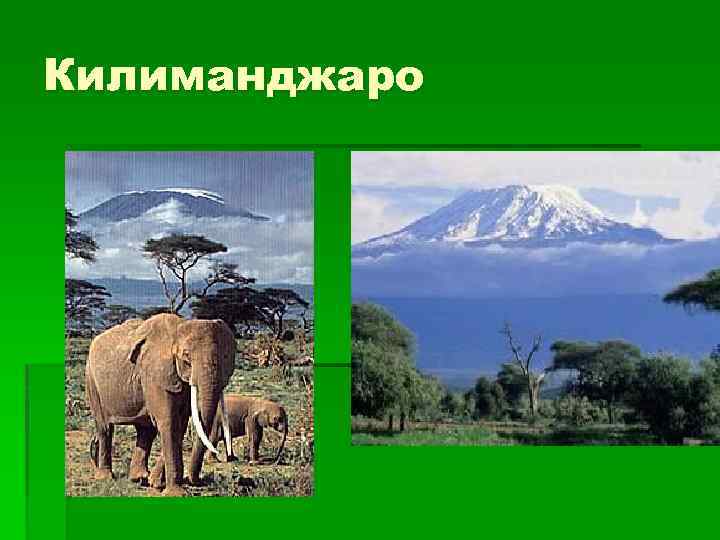 Килиманджаро 