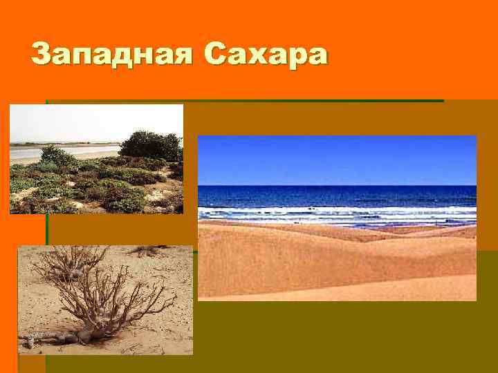 Западная Сахара 