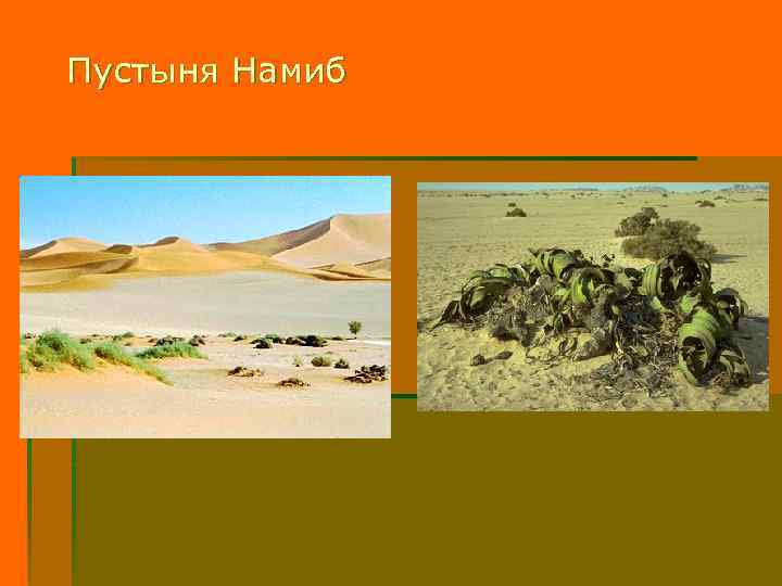 Пустыня Намиб 