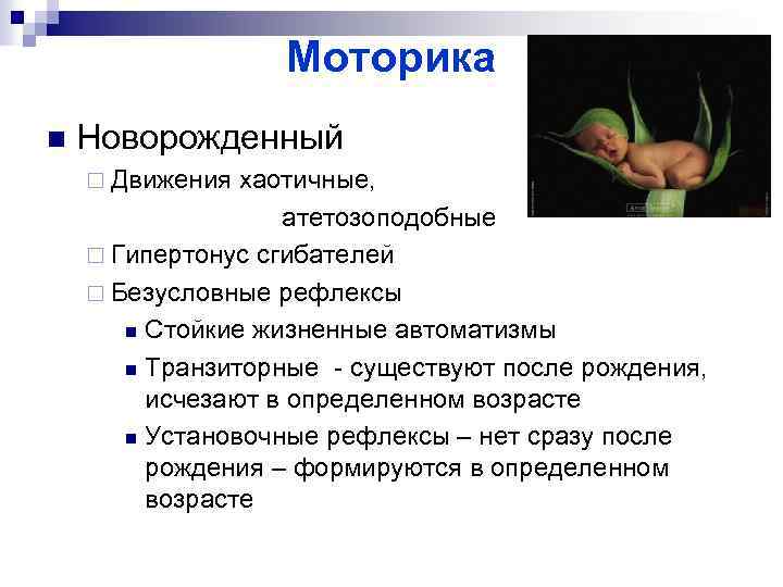 Моторика n Новорожденный ¨ Движения хаотичные, атетозоподобные ¨ Гипертонус сгибателей ¨ Безусловные рефлексы n