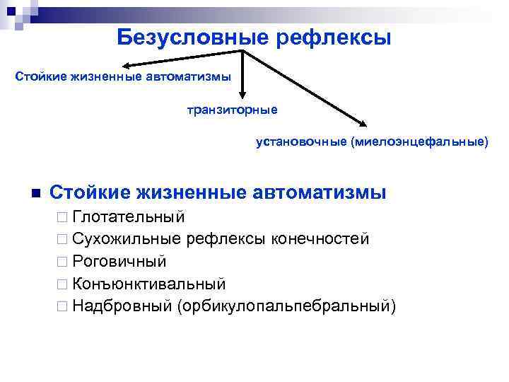 Безусловные рефлексы Стойкие жизненные автоматизмы транзиторные установочные (миелоэнцефальные) n Стойкие жизненные автоматизмы ¨ Глотательный