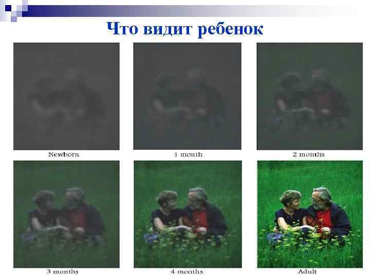 Что видит ребенок 