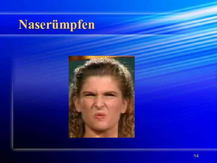 Naserümpfen 14 