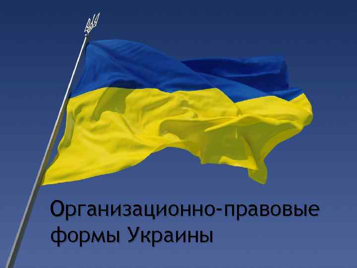 Организационно-правовые формы Украины 
