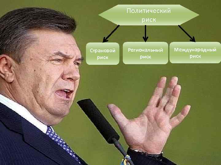 Политический риск Страновой риск Региональный риск Международный риск 