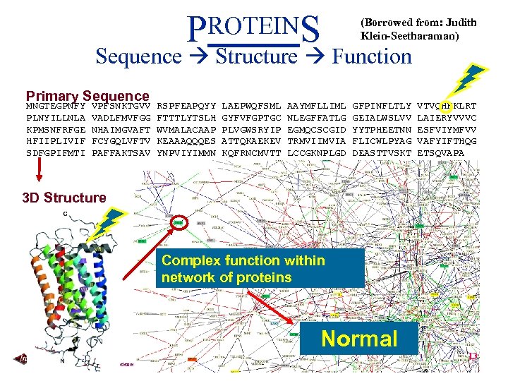 PROTEINS (Borrowed from: Judith Klein-Seetharaman) Sequence Structure Function Primary Sequence MNGTEGPNFY PLNYILLNLA KPMSNFRFGE HFIIPLIVIF