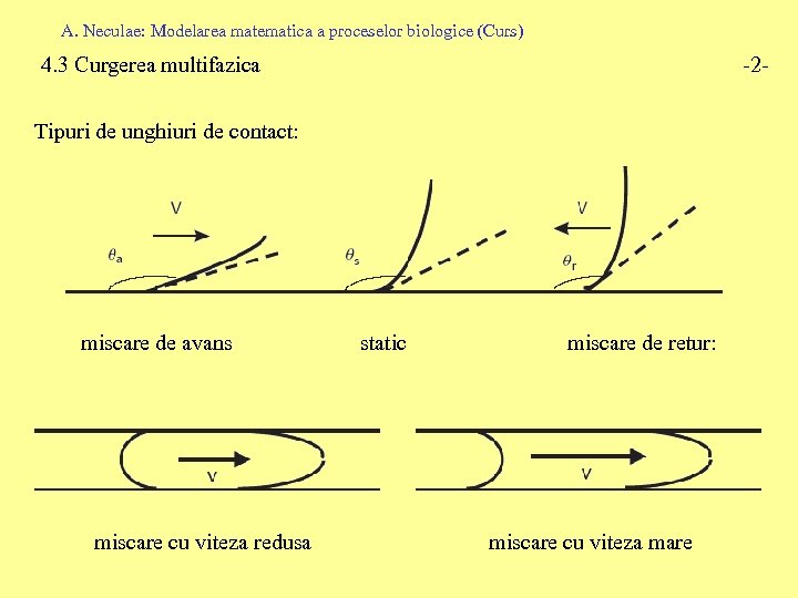 A. Neculae: Modelarea matematica a proceselor biologice (Curs) 4. 3 Curgerea multifazica -2 -