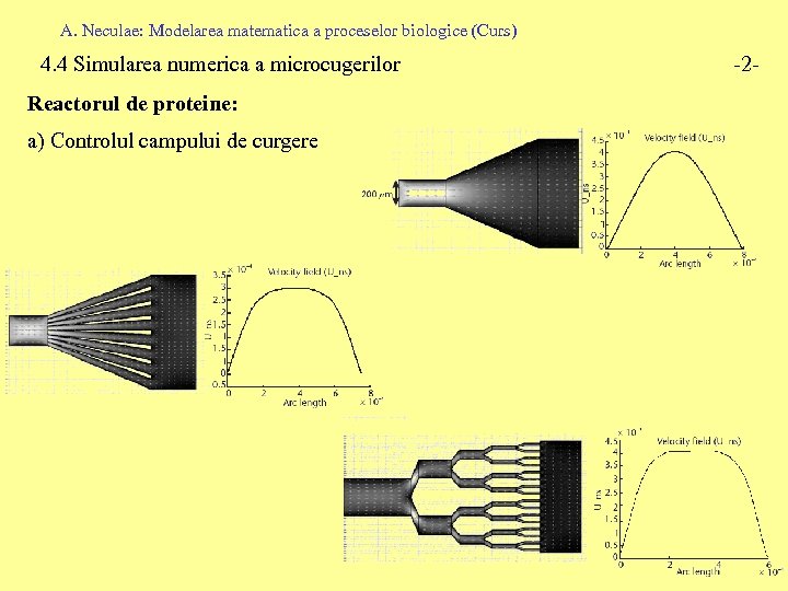 A. Neculae: Modelarea matematica a proceselor biologice (Curs) 4. 4 Simularea numerica a microcugerilor