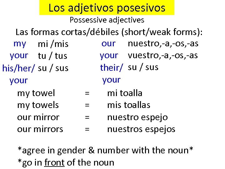 Los adjetivos posesivos Possessive adjectives Las formas cortas/débiles (short/weak forms): my mi /mis our