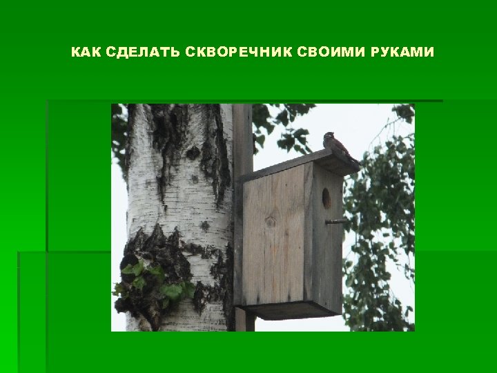 КАК СДЕЛАТЬ СКВОРЕЧНИК СВОИМИ РУКАМИ 