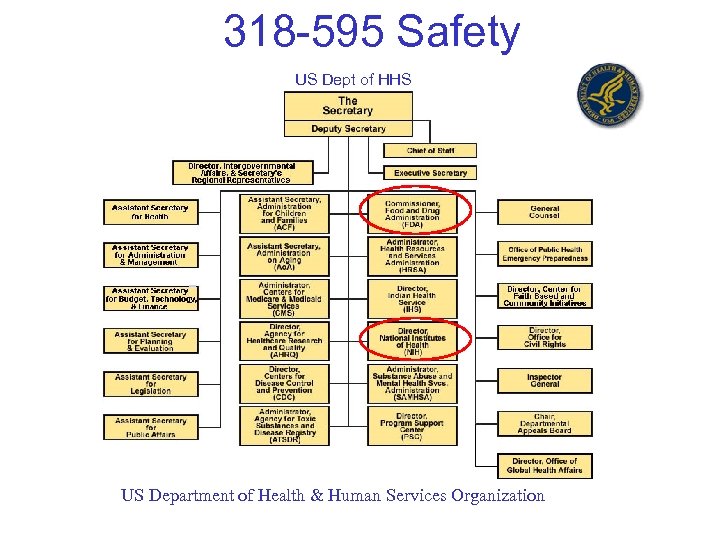 318 -595 Safety US Dept of HHS US Department of Health & Human Services