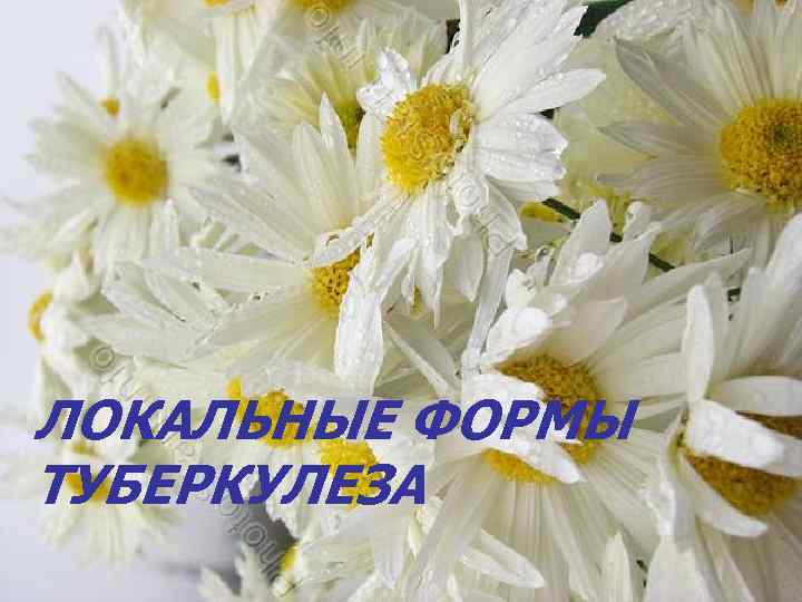 ЛОКАЛЬНЫЕ ФОРМЫ ТУБЕРКУЛЕЗА 
