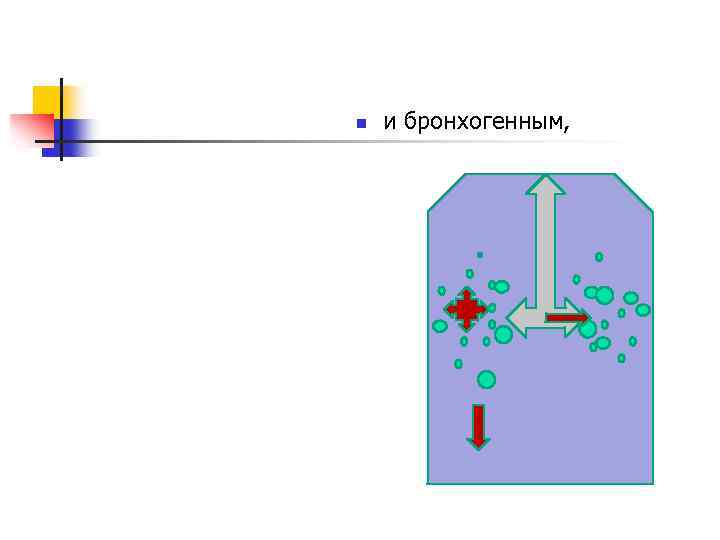  и бронхогенным, n 