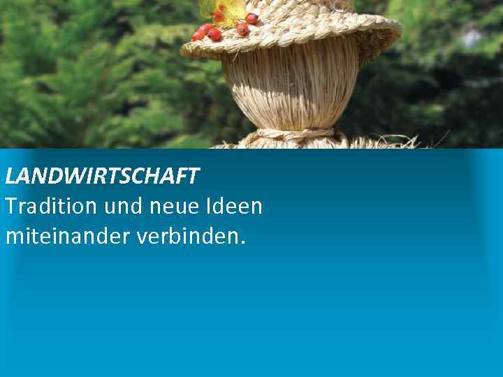 LANDWIRTSCHAFT Tradition und neue Ideen miteinander verbinden. 