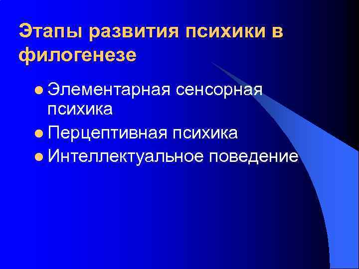 Этапы развития психики в филогенезе l Элементарная сенсорная психика l Перцептивная психика l Интеллектуальное