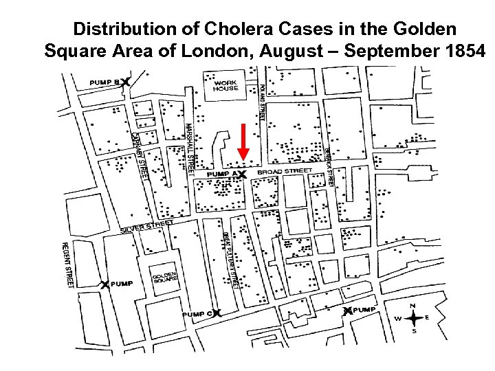 Distribution of Cholera Cases in the Golden Square Area of London, August – September