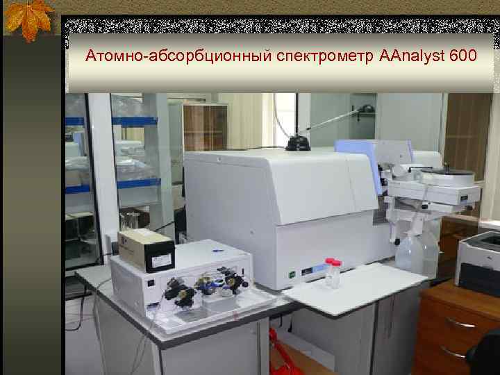 Атомно-абсорбционный спектрометр AAnalyst 600 ■ 